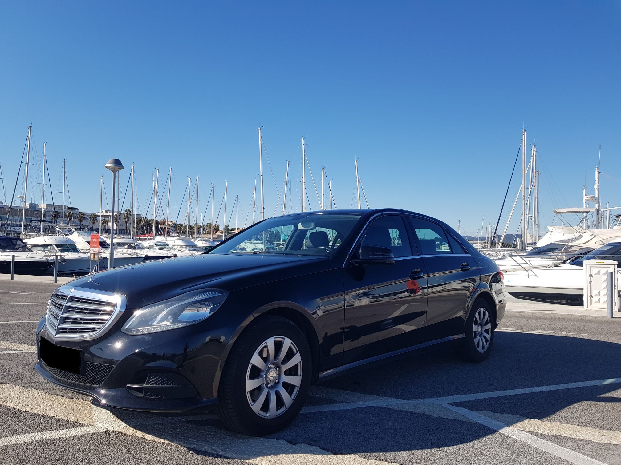 Chien de siège de voiture de luxe - «Louis Vuitton design» - Chien